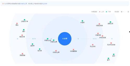 爆料类型视频怎么拍的,如何捕捉真实瞬间